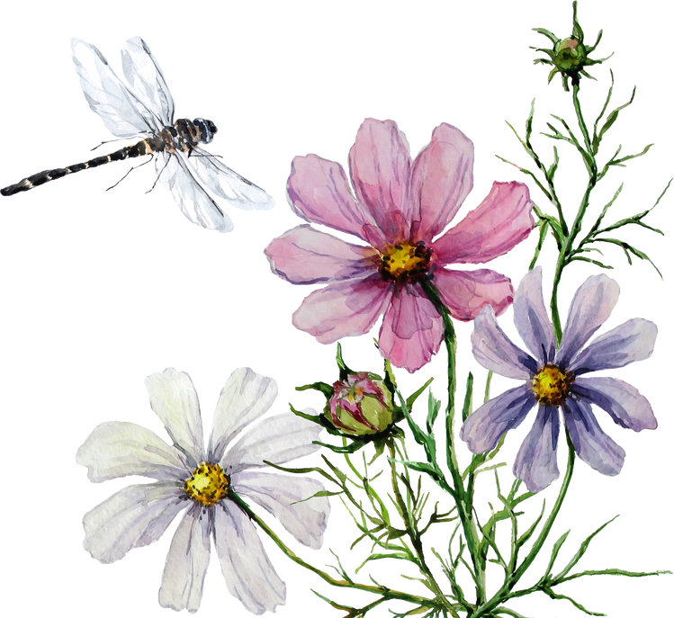 Dragonfly on a flower. Watercolor.